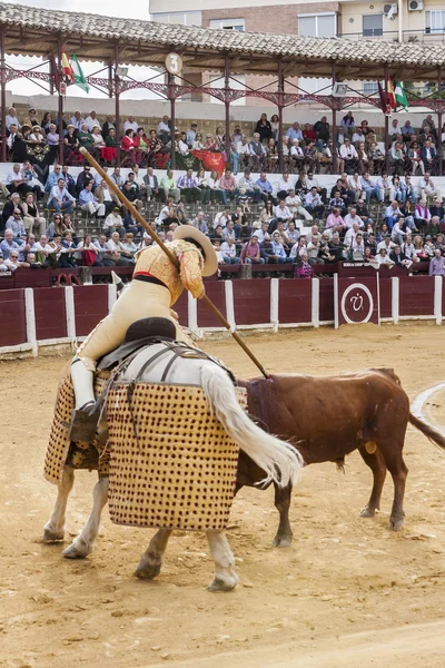 Picador toureiro, lancer cujo trabalho é enfraquecer o nec do touro — Fotografia de Stock