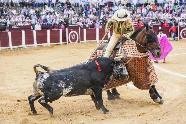 Picador bullfighter, lancer whose job it is to weaken bull's — Stock Photo, Image