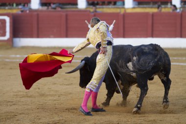 İspanyol Boğa Güreşçisi Ivan Garcia koltuk değneği ile boğa güreşi
