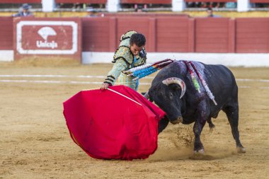 İçinde koltuk değneği ile İspanyol Boğa güreşçisi El Fundi'nin boğa güreşi