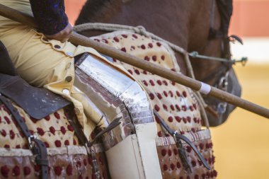 Picador Boğa güreşçisi, işi Bull'un nec zayıflatmak için olan lancer