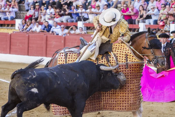 Picador bullfighter, lancer whose job it is to weaken bull's nec — Stock Photo, Image