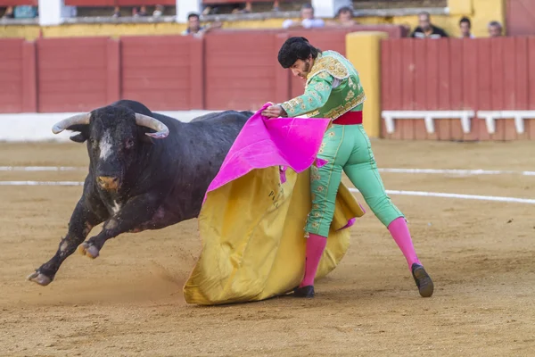 Испанский коррида Хуан Хосе Падилья подрался с быком — стоковое фото