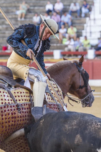 Picador torero, lanciere il cui compito è quello di indebolire il nec del toro — Foto Stock