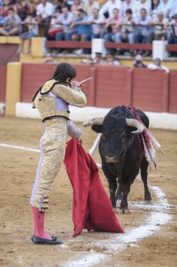 İspanyol Boğa Güreşçisi Sebastian Castella girmeye hazırlanıyor