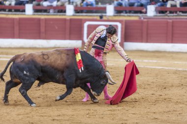 İspanyol Boğa Güreşçisi Morante de ls Puebla boğa güreşi