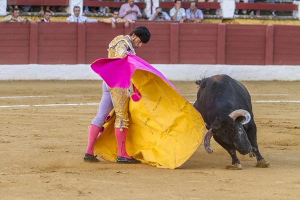 Der spanische Stierkämpfer david valiente stierkampf mit dem cru — Stockfoto