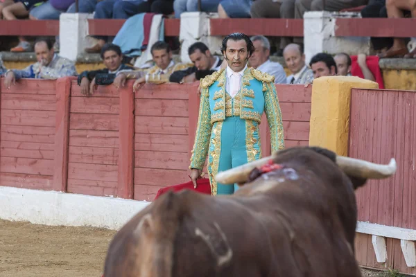 El torero español Juan de Felix con la corteza —  Fotos de Stock
