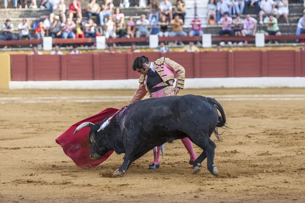 Der spanische Stierkämpfer morante de ls puebla stierkampf mit t — Stockfoto