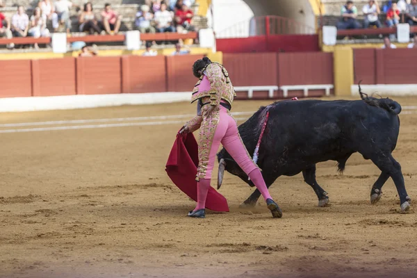 Den spanska tjurfäktare Morante de LS Puebla tjurfäktning med t — Stockfoto