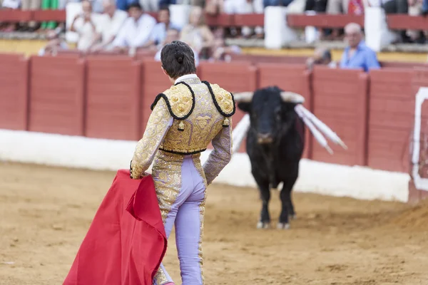 The Spanish Bullfighter Sebastian Castella bullfighting — Stock Photo, Image