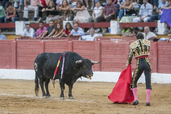 Den spanska tjurfäktare Finito de Cordoba förbereder sig för att gå in — Stockfoto