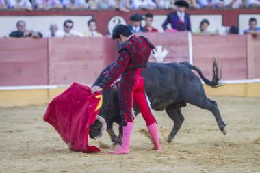 Crut ile İspanyol Boğa güreşçisi Salvador Vega boğa güreşi