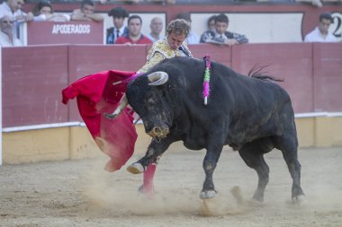 C ile İspanyol Boğa güreşçisi Jose Luis Moreno boğa güreşi