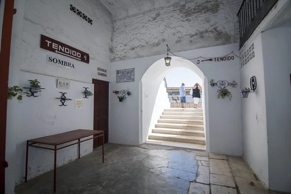 Interior of bullring of Cabra, province of  Cordoba, Spain — Stock Photo, Image