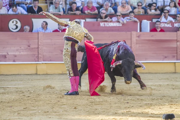 Il torero spagnolo Jose Luis Moreno corrida con il c — Foto Stock