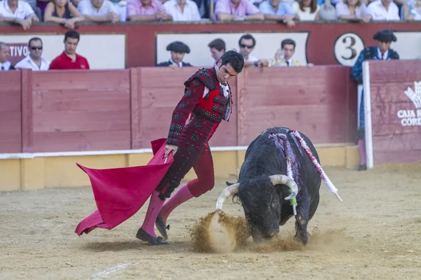 Der spanische Stierkämpfer salvador vega stierkampf mit der grausamen — Stockfoto