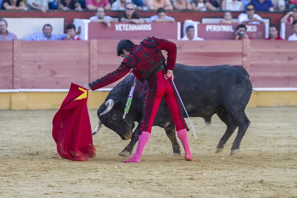 The Spanish Bullfighter Salvador Vega bullfighting with the crut — Stock Photo, Image