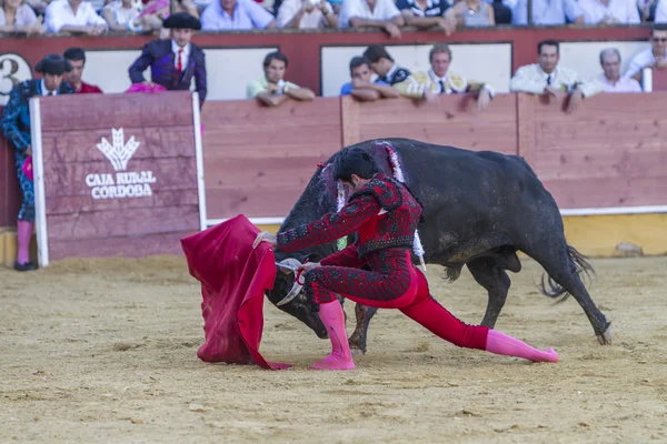 Den spanska tjurfäktare Salvador Vega tjurfäktning med crut — Stockfoto