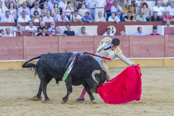 The Spanish Bullfighter Curro Jimenez bullfighting with the crut — Stock Photo, Image