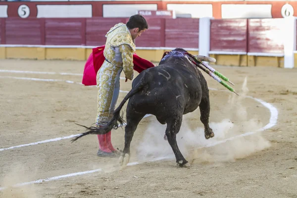 Der spanische Stierkämpfer curro jimenez stierkampf mit der grausamen — Stockfoto