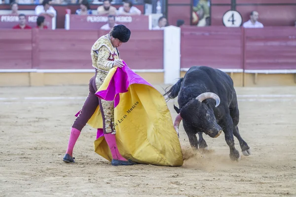 Den spanska tjurfäktare Jose Luis Moreno tjurfäktning med c — Stockfoto