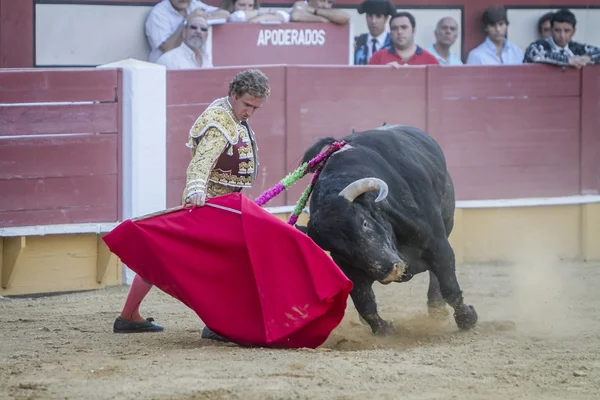 O toureiro espanhol Jose Luis Moreno touradas com o c — Fotografia de Stock