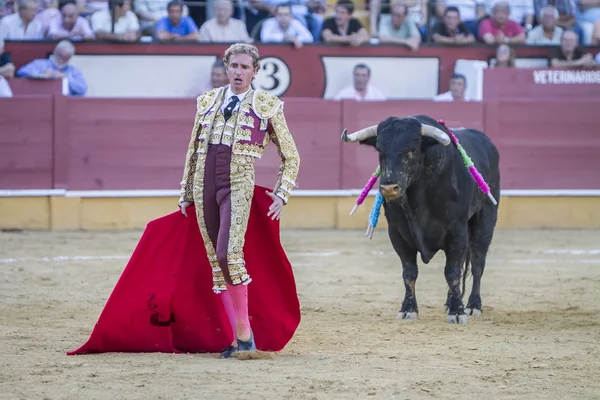 Der spanische Stierkämpfer jose luis moreno Stierkampf mit dem c — Stockfoto