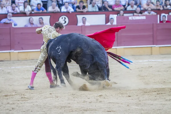 O toureiro espanhol Jose Luis Moreno touradas com o c — Fotografia de Stock