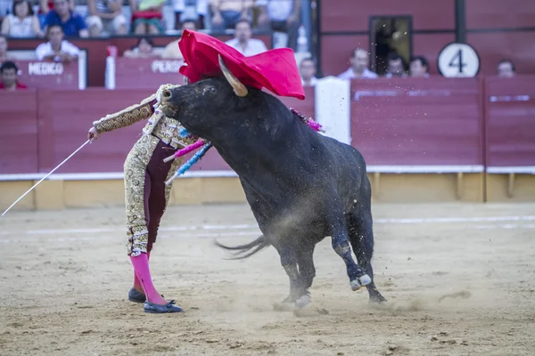 Il torero spagnolo Jose Luis Moreno corrida con il c — Foto Stock