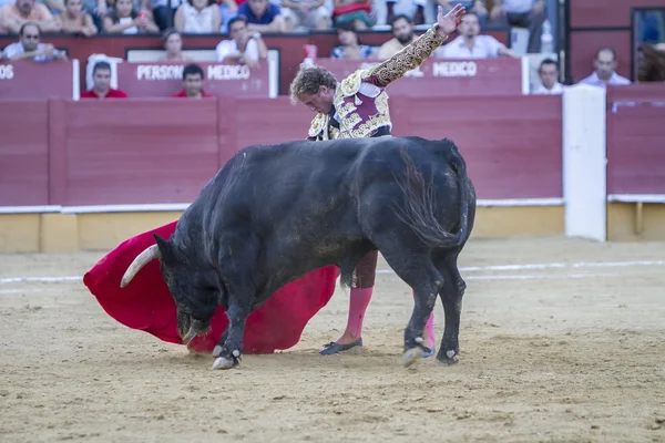 Le torero espagnol Jose Luis Moreno corrida avec le c — Photo