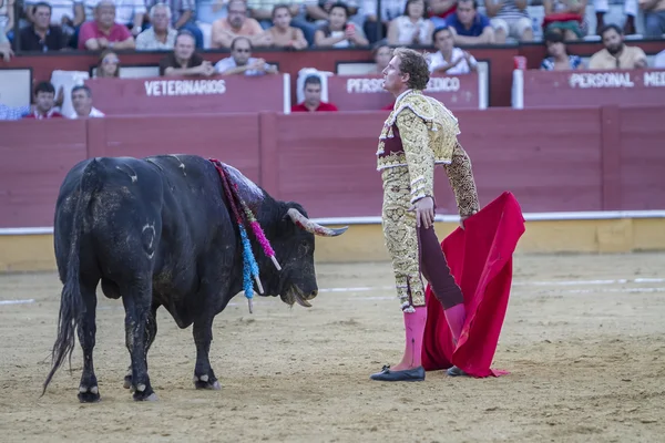 Испанский борец с быками Хосе Луис Морено подрался с быком — стоковое фото