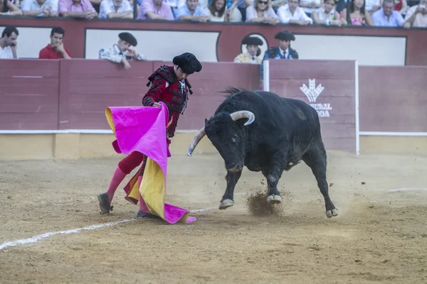 Η ισπανική ταυρομάχος Σαλβαδόρ Vega ταυρομαχίες με το crut — Φωτογραφία Αρχείου