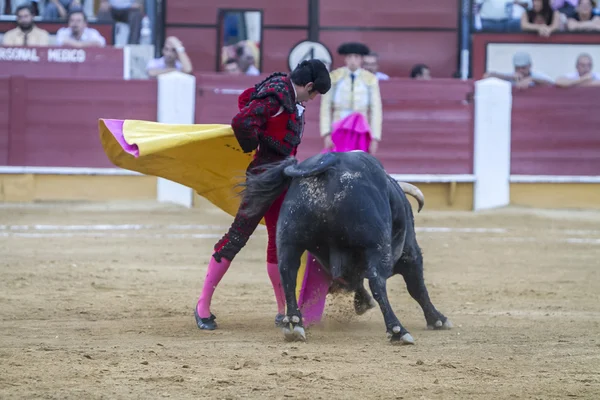 De Spaanse stierenvechter Salvador Vega stierenvechten met de crut — Stockfoto
