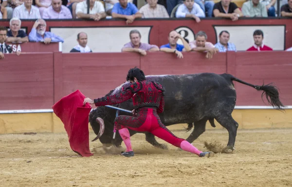 Η ισπανική ταυρομάχος Σαλβαδόρ Vega ταυρομαχίες με το crut — Φωτογραφία Αρχείου