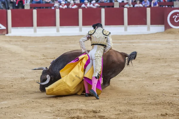 Il torero spagnolo Daniel Luque corrida — Foto Stock