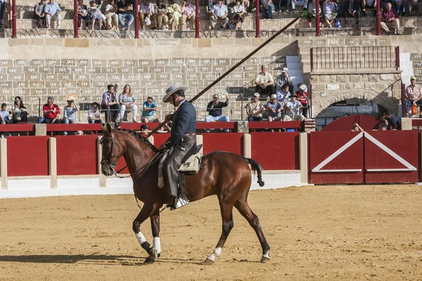 Alvaro montes, stierenvechter op een paard Spaanse heks garrocha — Stockfoto