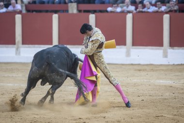 İspanyolca Boğa güreşçisi Jose Luis Moreno boğa güreşi 