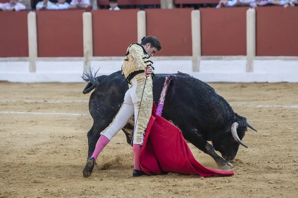 O toureiro espanhol Daniel Luque touradas — Fotografia de Stock