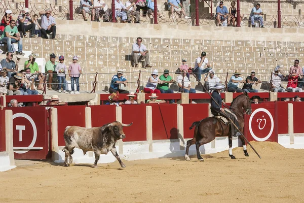 Alvaro montes, at sırtında İspanyol cadı garrocha üzerinde Boğa güreşçisi — Stok fotoğraf