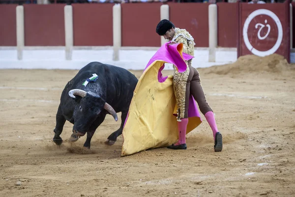 İspanyolca Boğa güreşçisi Jose Luis Moreno boğa güreşi 