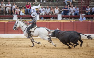 Alvaro Montes, at sırtında matador İspanyolca, Ubeda, Jaen, İspanya
