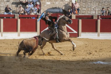Noelia Mota, at sırtında matador İspanyolca, Ubeda, Jaen, İspanya