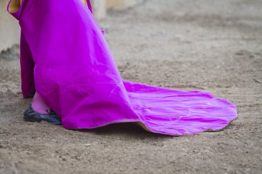 Arena, İspanya pelerinle ile İspanyol Boğa güreşçisi