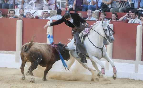 Noelia Mota, tjurfäktare på hästryggen spanska, Úbeda, Jaen, Spanien — Stockfoto