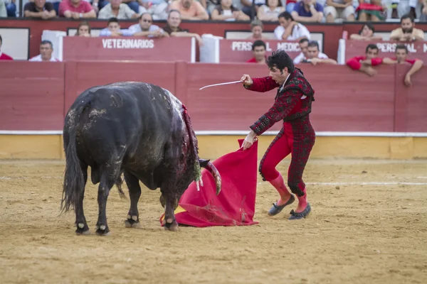 Il torero spagnolo Salvador Vega corrida — Foto Stock
