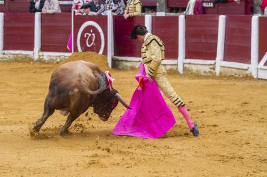 İçinde koltuk değneği ile İspanyol Boğa güreşçisi El Fandi boğa güreşi