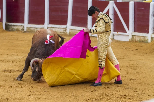 O toureiro espanhol El Fandi touradas com a muleta em — Fotografia de Stock