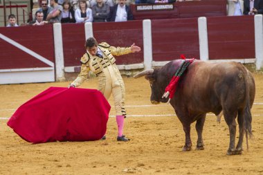 İçinde koltuk değneği ile İspanyol Boğa güreşçisi El Fandi boğa güreşi