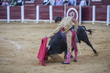 Bullring Ubeda, İspanya'nın içinde koltuk değneği ile İspanyol boğa güreşçisi Curro Diaz boğa güreşi